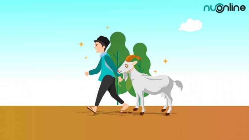 Hukum Menyembelih Hewan Kurban tanpa Pelaksanaan Shalat Idul Adha