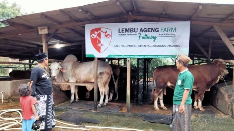Cara Peternak Hewan Kurban Hadapi Penurunan Omzet Saat Pandemi
