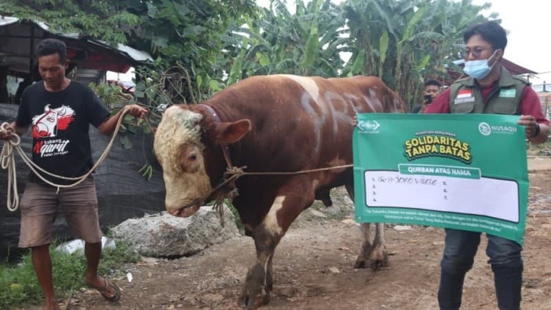 Idul Kurban, NU Care-LAZISNU Wujudkan Solidaritas Tanpa Batas