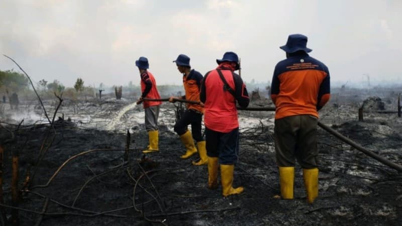 Pemadaman Kebakaran Area Gambut di Sambas Manfaatkan Sekat Kanal dan Sumur Bor BRGM