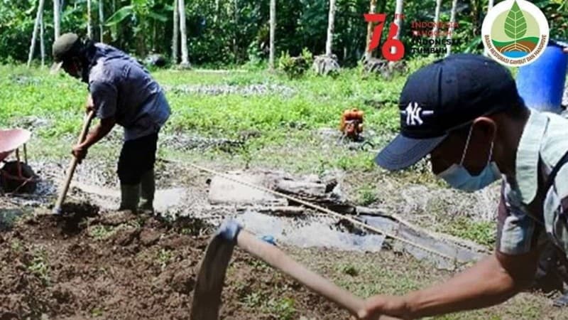 Pulihkan Ekosistem Gambut, BRGM Kenalkan Masyarakat Pengelolaan Lahan Tanpa Bakar