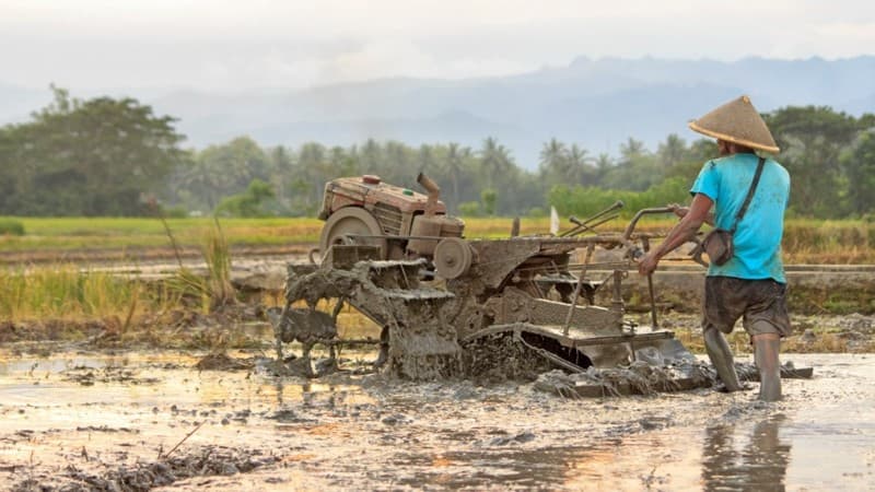 Akibat PPKM, Hasil Panen Petani Anjlok Hingga Rugi 80 Persen