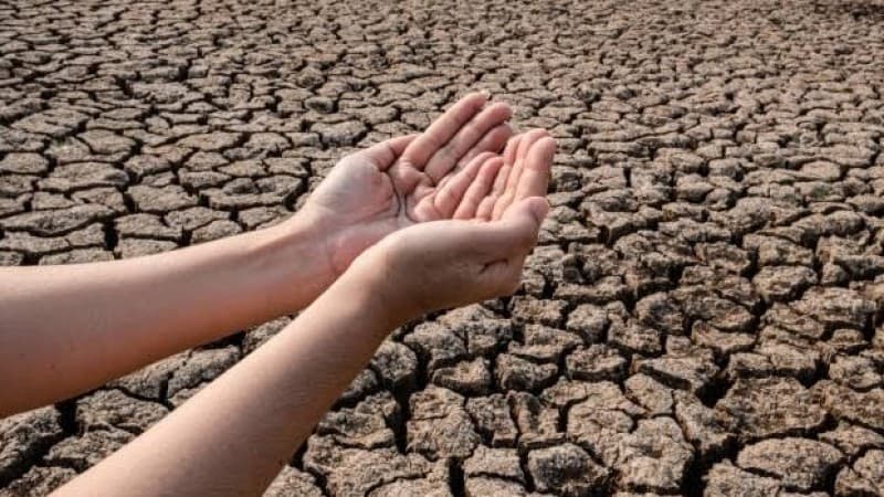 Kisah Khalifah Abdurrahman III 'Selesaikan' Paceklik di Andalusia