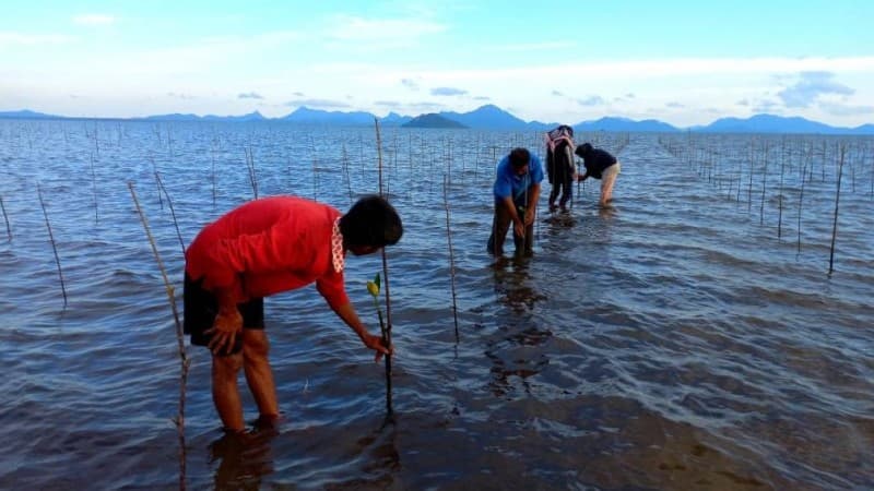 Wujudkan Tema HUT Kemerdekaan RI dengan Percepatan Restorasi Gambut dan Rehabilitasi Mangrove