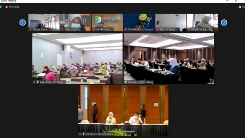 Program Dana Alokasi Khusus Pengawasan Obat dan Makanan