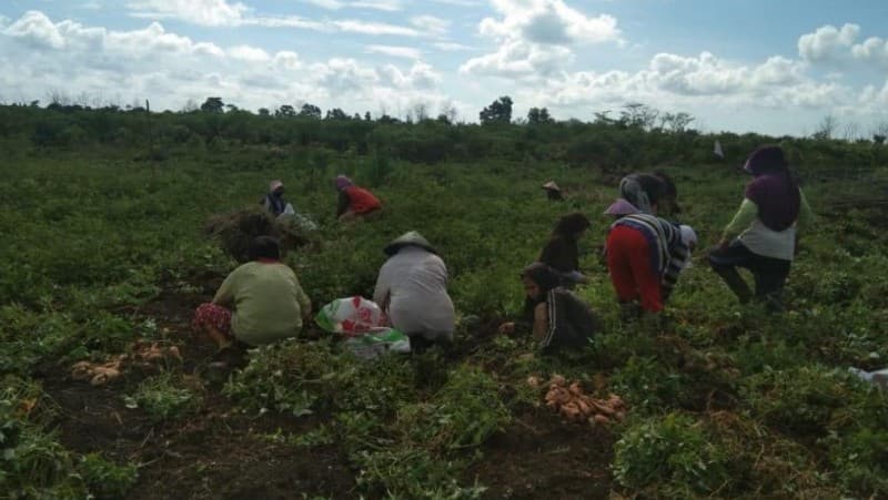 Waketum PBNU Sebut Jasa Petani Turunkan Emisi Karbon 