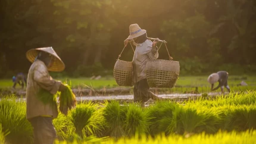 Tafsir Surat At-Taubah Ayat 105: Perintah untuk Bekerja Keras dalam Islam