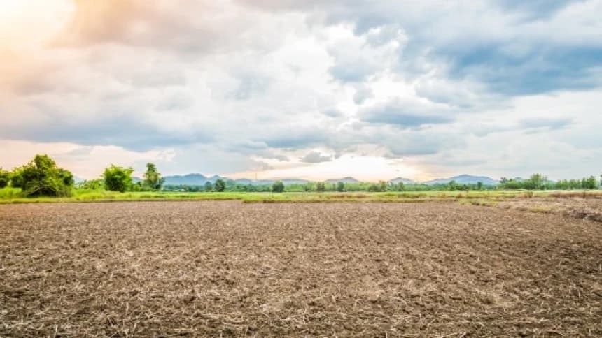 Deretan Konflik Agraria Terbaru: dari Rempang, Pohuwato, hingga Seruyan