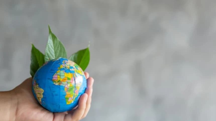 Etika Pemilik Pohon yang Menjulur ke Rumah Tetangga