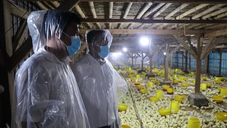 GP Ansor Bangun Usaha Ayam Broiler 30 Ribu Ekor, Perdana Beroperasi di Subang