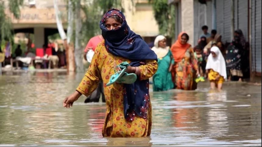 Banjir Pakistan: Kasus Demam Berdarah Melonjak, 3.830 Orang Terinfeksi