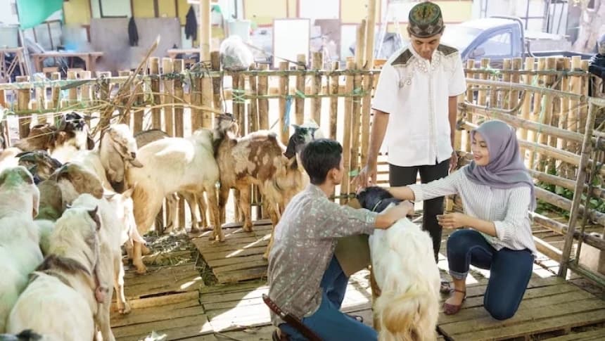 Hukum Berutang untuk Membeli Hewan Kurban