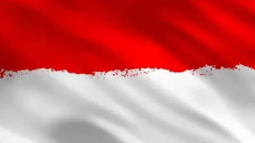 Di Tengah Fenomena Bendera One Piece Badan Siber Ansor Ajak Generasi Muda Hormati Merah Putih