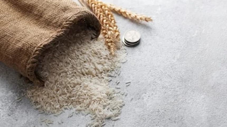 Kuasa Hukum JNE Sebut Beras yang Dikubur di Depok Bukan Bansos