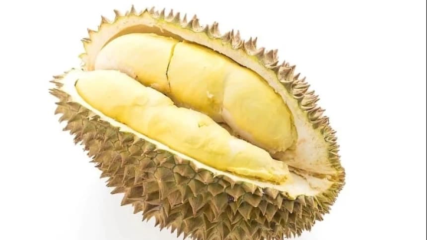 Tips Aman Ibu Hamil Konsumsi Buah Durian