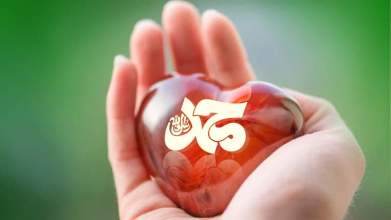 Hikmah dari Sisi Manusiawi Nabi Muhammad