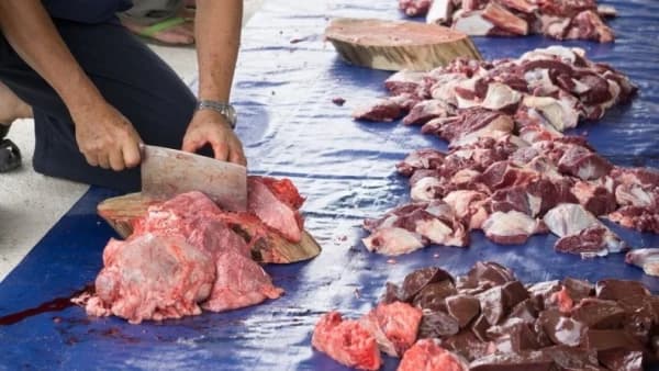 Bolehkah Daging Kurban Wajib dan Sunnah Dicampur? Pahami Ketentuannya