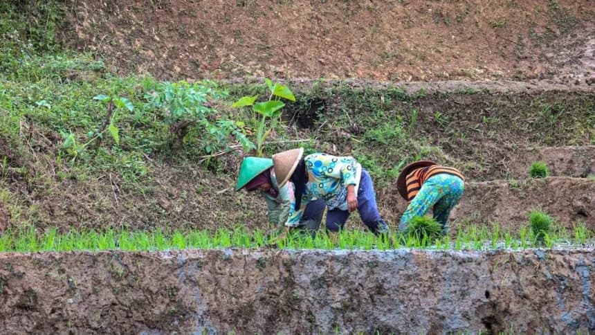 Dibahas Cak Imin dan Gibran, Akademisi Jelaskan Tantangan Program Dana Desa untuk Tingkatkan Ekonomi