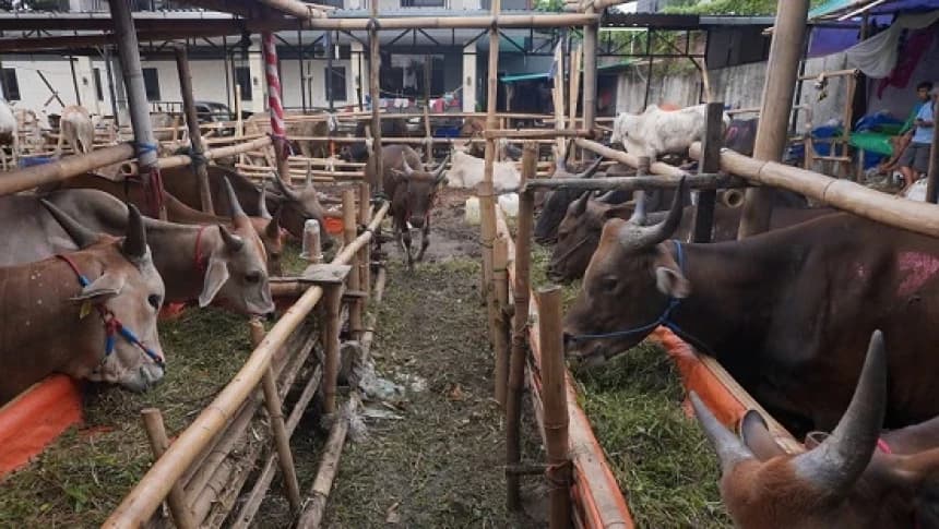 Solusi agar Iuran Kurban Siswa Jadi Sah dan Berpahala