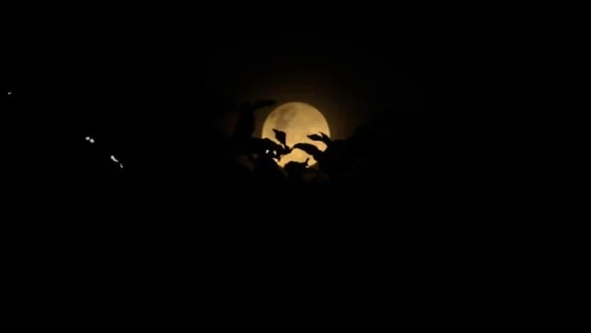 Ini Asal-Usul Penamaan Rabiul Akhir