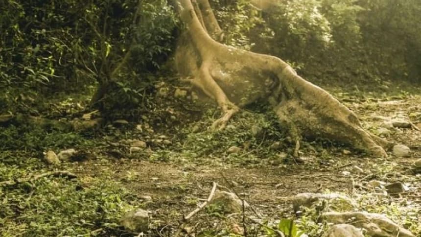 Jejak Perjuangan Seorang Pemberontak