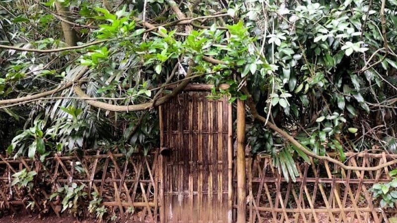 Hutan Larangan Cikondang dan Nilai Pentingnya bagi Masyarakat