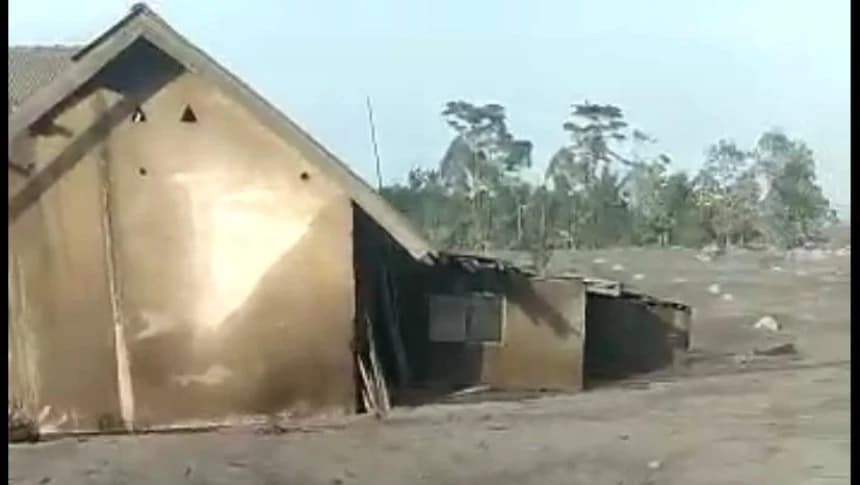 Belum Panen, Kebun Tebu Rata dengan Pasir Erupsi Semeru
