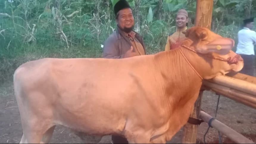 Bangkit Pascagempa, Omzet Penjualan Hewan Kurban NU di Cianjur Capai Rp565 Juta