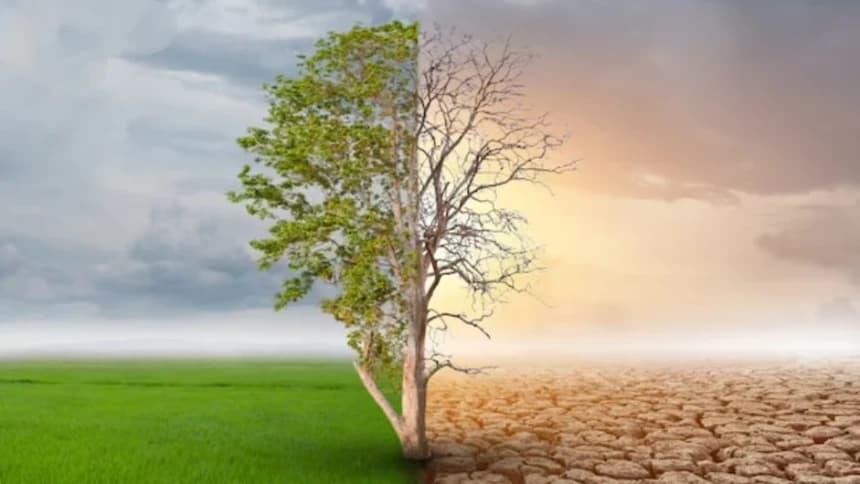 Musim Kemarau 2024 Diprediksi Mundur, Puncaknya Juli-Agustus