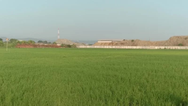 Sebagai Khalifah, KH Ubaidullah Shodaqoh: Manusia Harus Memakmurkan Bumi