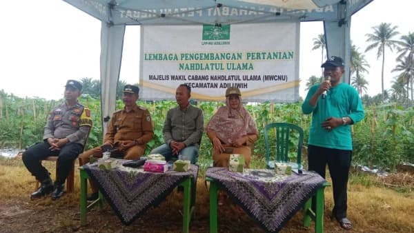 Ikhtiar Tingkatkan Produktivitas, LPPNU Berikan Penyuluhan Budidaya Tanaman Holtikultura