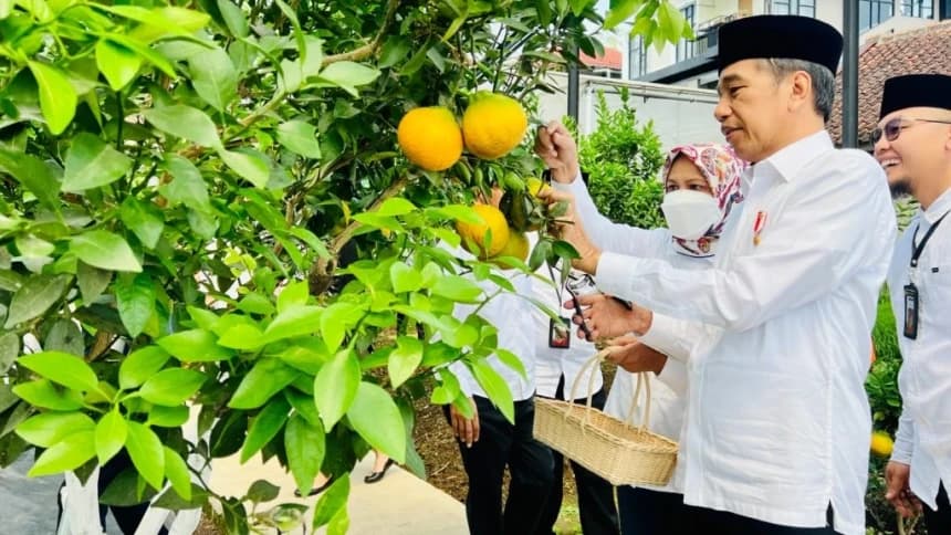 Presiden Jokowi Akan Undang Pelaku Bisnis Koperasi Pesantren Al-Ittifaq ke Istana Negara