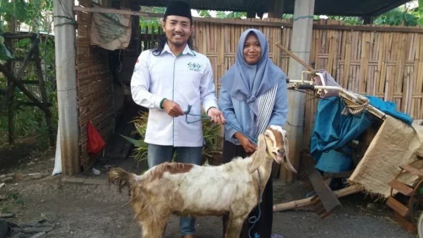Melihat Pola Permodalan Kambing Bergulir UPZISNU Mrican Ponorogo