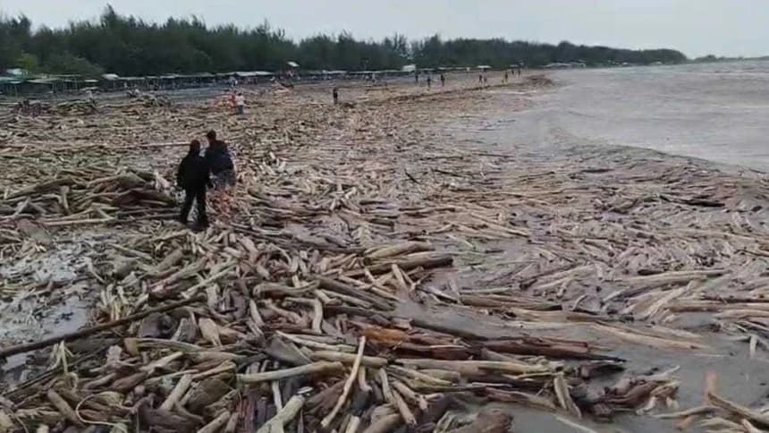 Pantai Larangan Tegal Dipenuhi Gelondongan Kayu, Diduga Dampak Banjir Bandang Guci