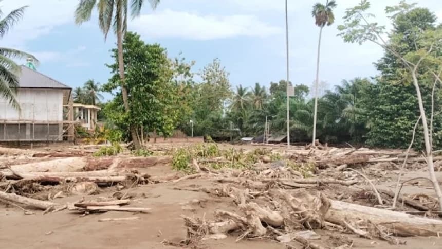 Bencana Ekologis di Sumatra, Walhi Sebut Pemerintah Lemah Menindak Penambang dan Perusak Hutan