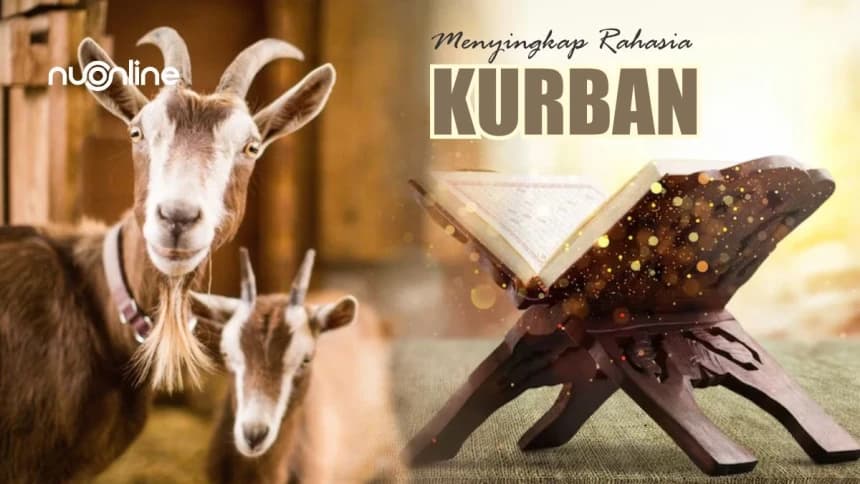 Tafsir Surat Al-Hajj Ayat 37: Menyingkap Rahasia Kurban