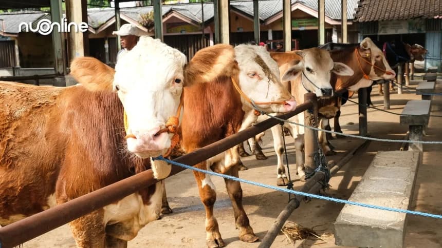 Khutbah Idul Adha Bahasa Jawa 1446 H: Makna Haji lan Kurban minangka Bukti Taat marang Gusti Allah