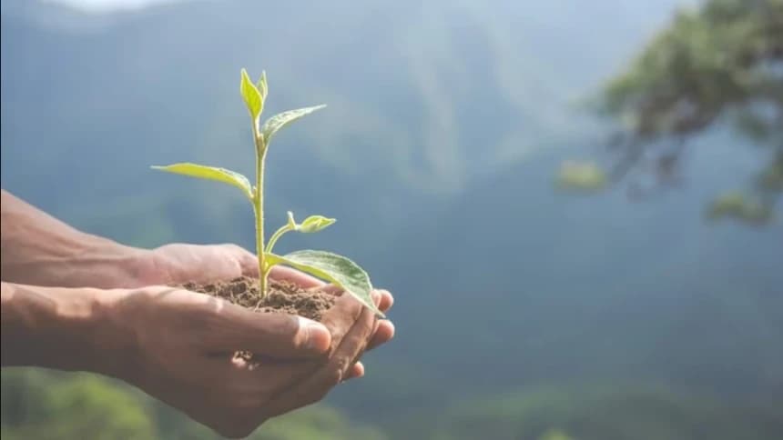 Tahun Baru 1445 H, Momentum Hijrah Menuju Lingkungan Hidup Berkualitas