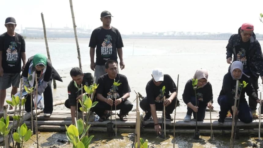 12 Ribu Mangrove Ditanam, 80 Kilometer Pantai Dibersihkan oleh LPBINU di Hari Santri 2023
