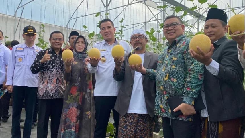 Ditangani Santri, Pesantren Al Hidayat Gerning Sukses Panen Melon Sultan