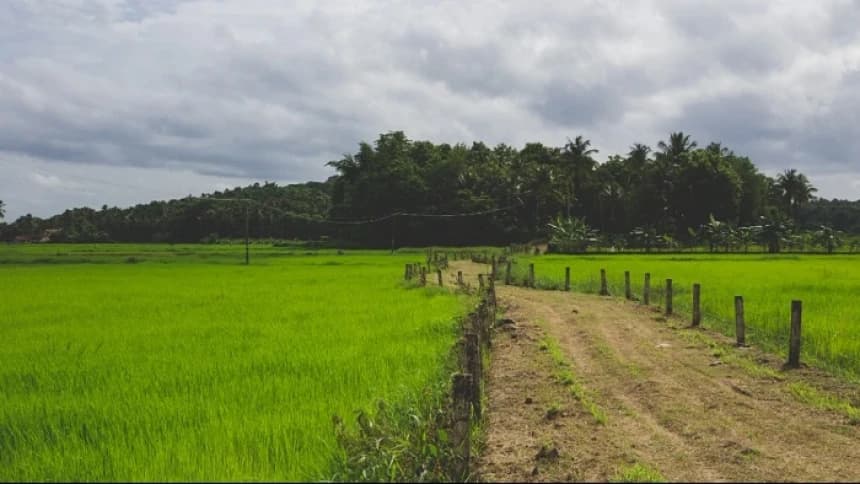 Anjuran Redistribusi Tanah dalam Ajaran Islam