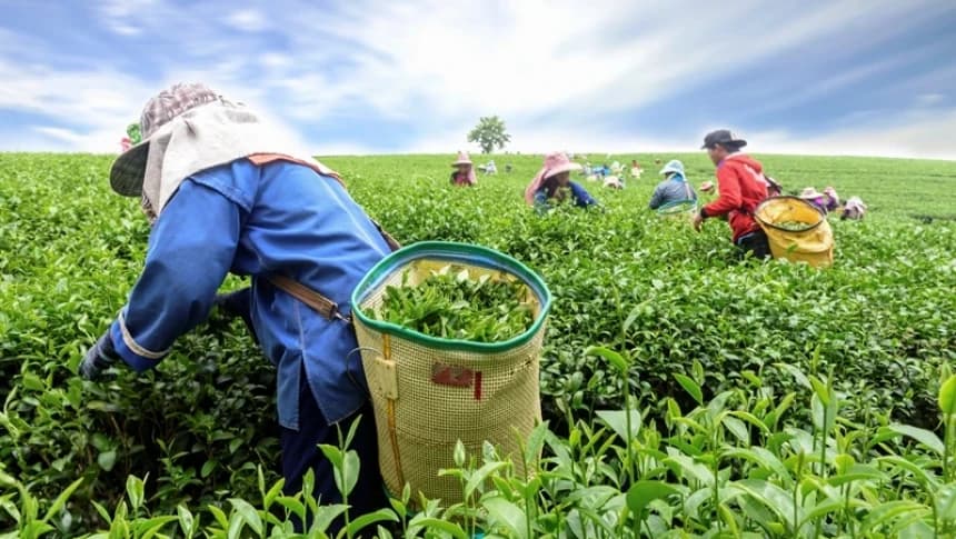 Konsep Dasar Pembukaan Lahan Baru dalam Islam