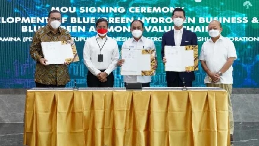 Pertamina Kembangkan Bisnis Blue/Green Hydrogen dan Ammonia