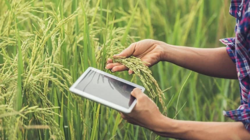 Kemuliaan Bekerja di Sektor Pertanian dalam Islam