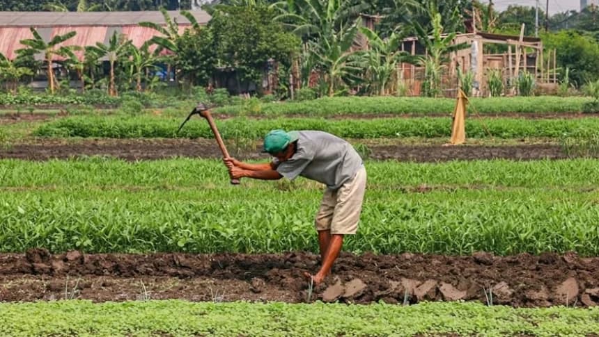 Konflik Agraria Jadi Aduan Tertinggi Pelanggaran HAM Sepanjang 2025