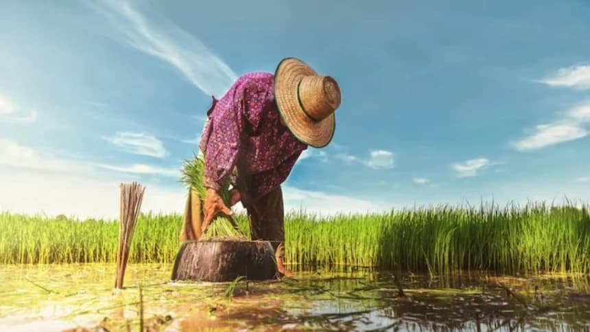 Khutbah Jumat: Betapa Mulianya Profesi Petani!