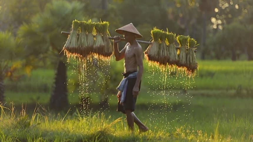 Bertani sebagai Ibadah Sosial dan Jihad Ekologis