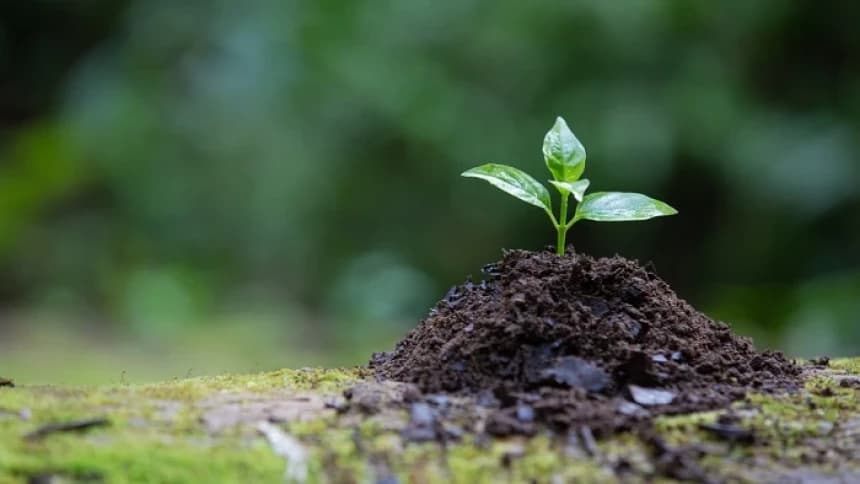 Khutbah Jumat: Mari Jaga Alam untuk Keberlanjutan Kehidupan