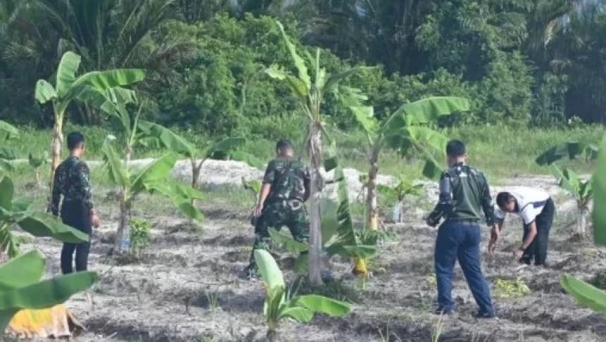 Militerisasi Pangan Dinilai Ancam Petani, Perlu Reformasi Agraria dan Kebijakan Inklusif