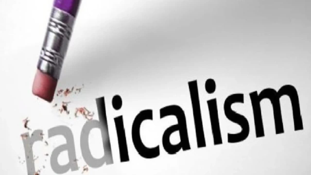 Social media becomes an incubator for radicalism among millennials, expert says